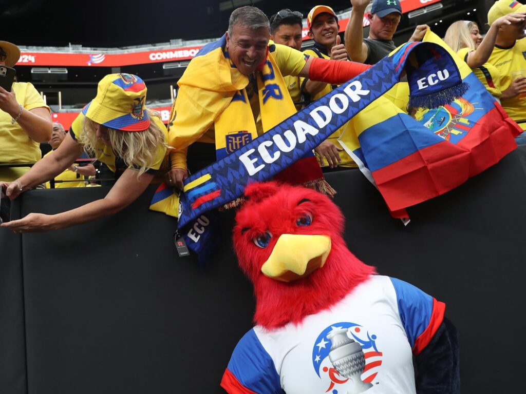 hinchas bandera